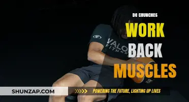 Crunches and Back Muscles: Unraveling the Truth Behind the Myth