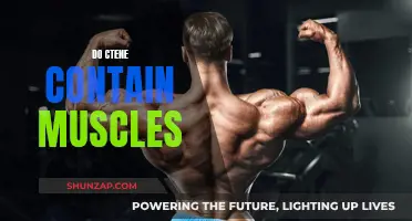 The Mystery of Muscles in Ctene: Unveiling the Truth