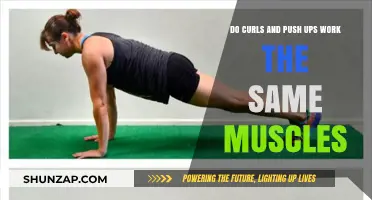 Curls vs. Push-Ups: Which Muscles Do They Really Target?