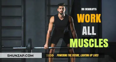 Deadlifts: The Ultimate Full-Body Workout for All Muscle Groups?