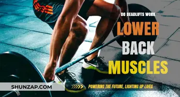 Deadlifts and Lower Back: Strengthening Your Core Muscles Effectively