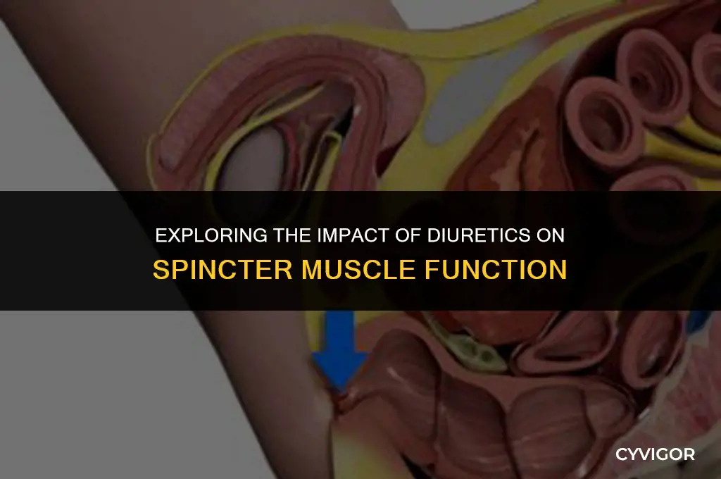 do diartics affect spincter muscle
