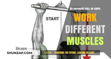 Pull-Up Grip Variations: Targeting Different Muscles for Optimal Strength