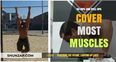 Dips and Pull-Ups: Comprehensive Muscle Coverage or Limited Benefits?