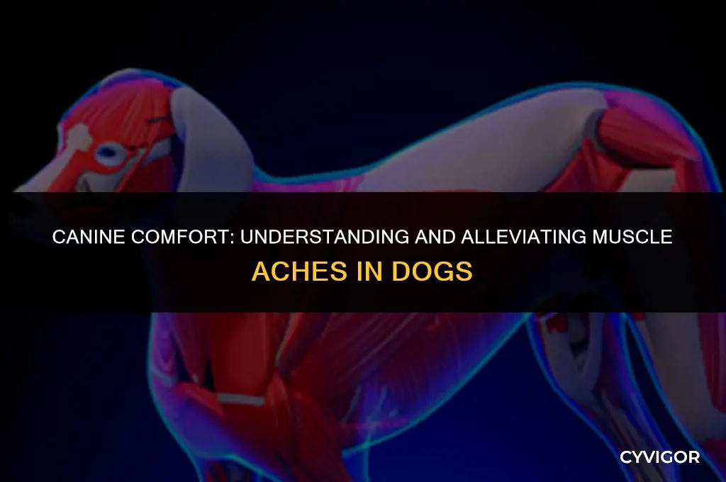 do dogs get muscle aches