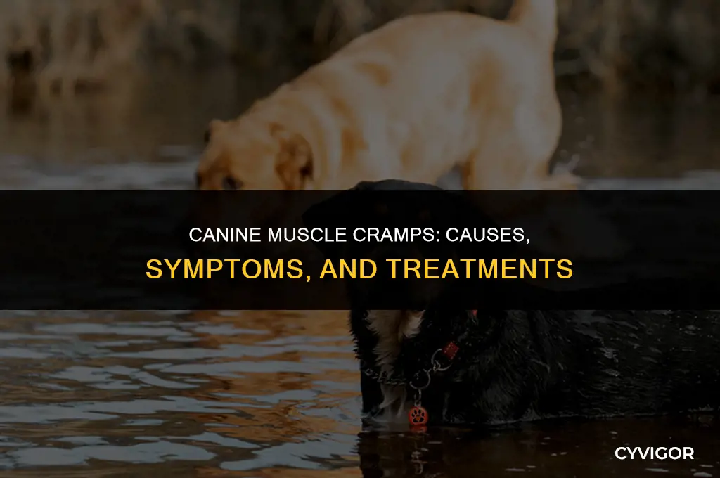 do dogs get muscle cramps