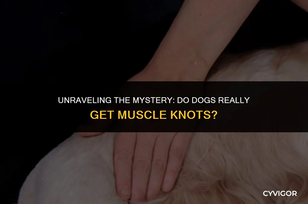 do dog
