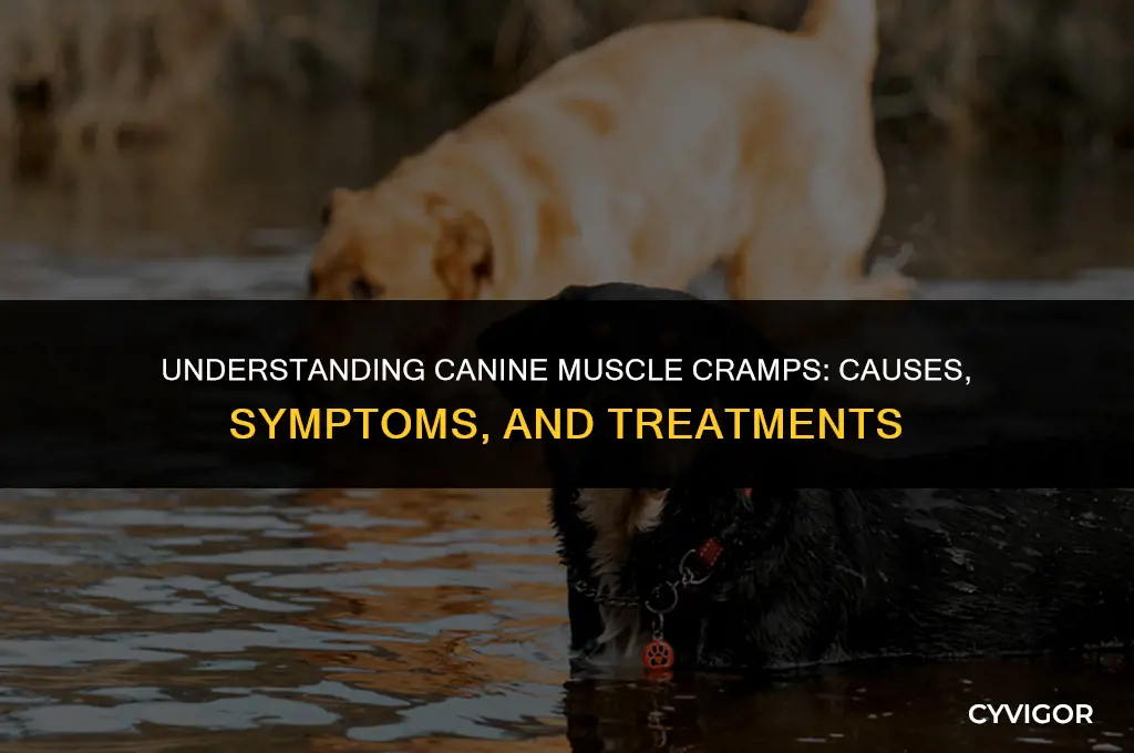 do dogs have muscle cramps