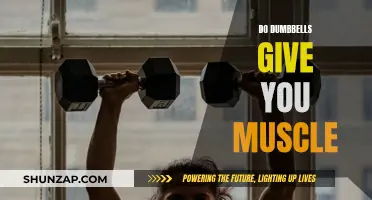 Dumbbells: Muscle-Building Basics for Beginners