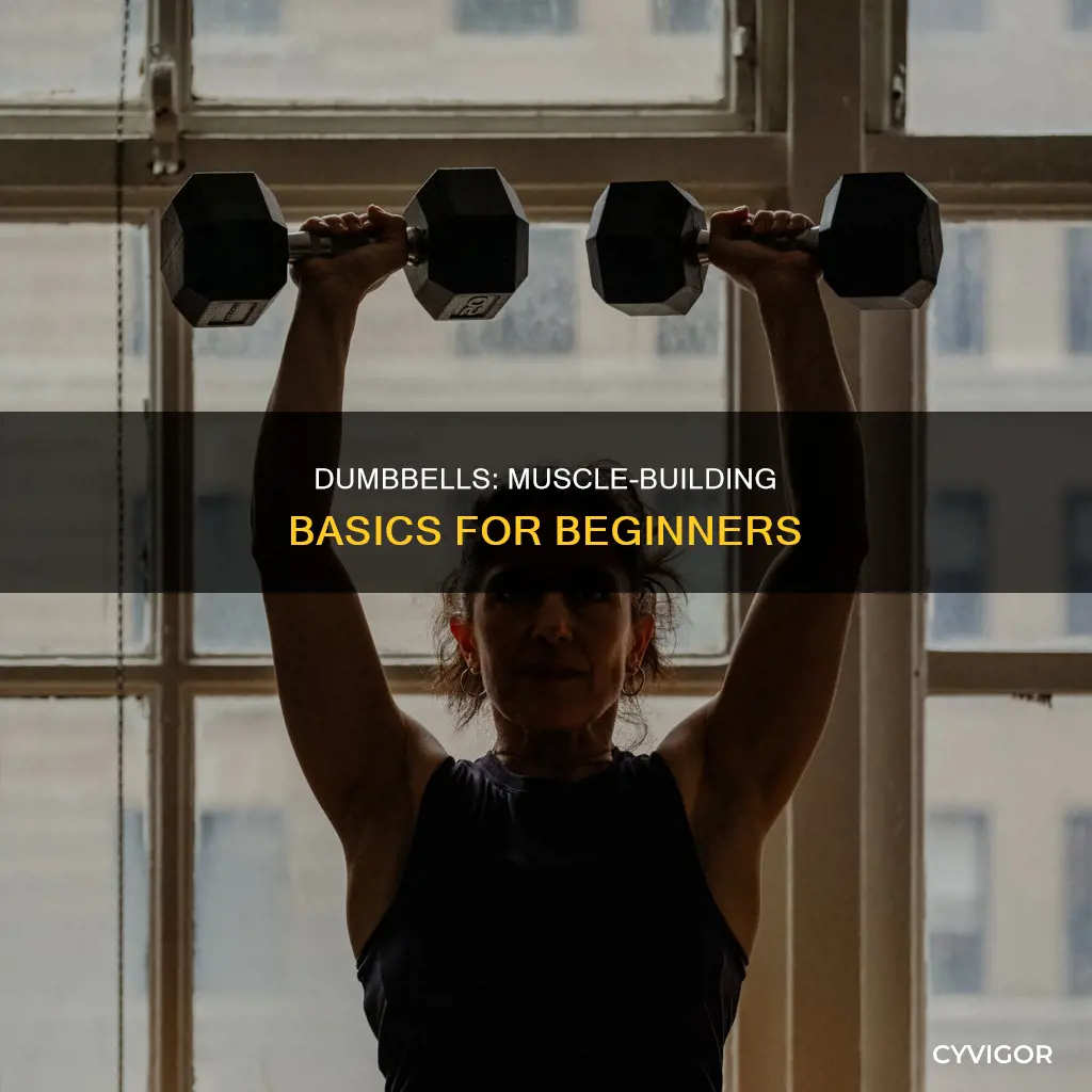 do dumbbells give you muscle