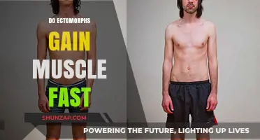 Can Ectomorphs Build Muscle Quickly? Unlocking the Truth for Fast Gains