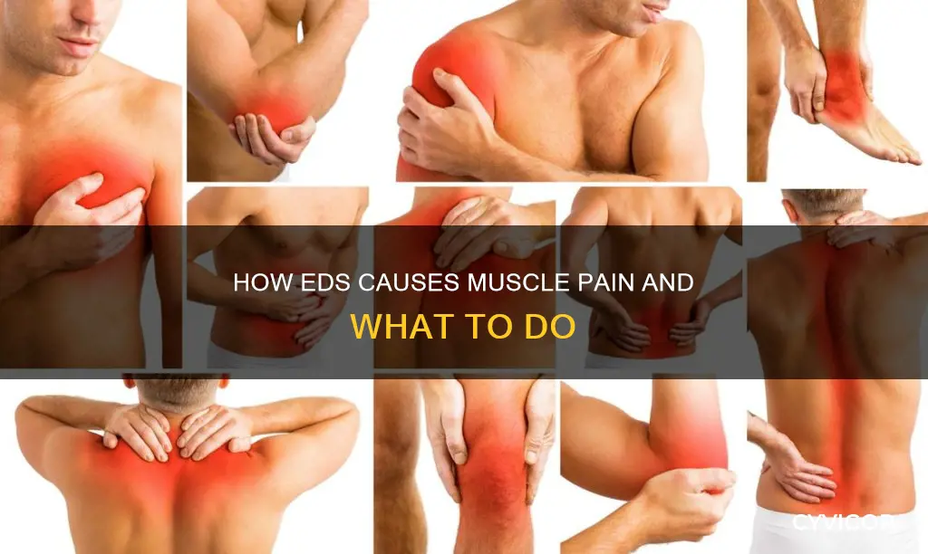 do eds cause muscle pain after