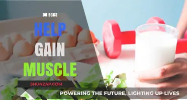 Eggs and Muscle Gain: Unlocking Protein Power for Strength