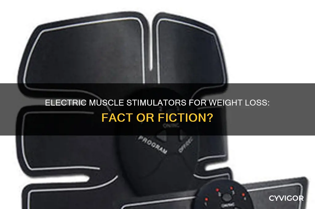 do electric muscle stimulators work on losing weight
