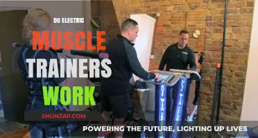 Do Electric Muscle Trainers Deliver Real Results? A Comprehensive Review
