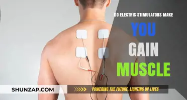Can Electric Stimulators Effectively Build Muscle? Facts and Myths Explored