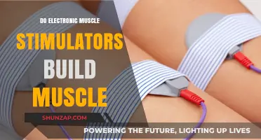 Can Electronic Muscle Stimulators Really Build Muscle?