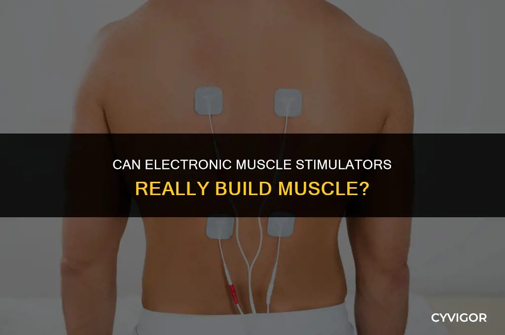 do electronic muscle stimulators build muscle