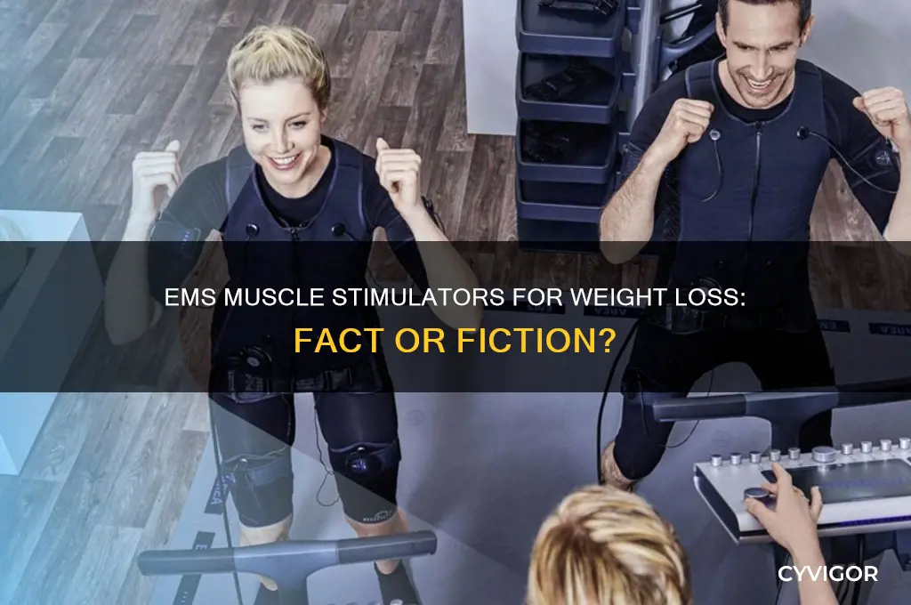 do ems muscle stimulators work for weight loss