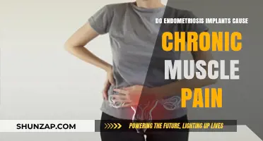 Endometriosis Implants: Chronic Muscle Pain Connection