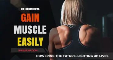 Do Endomorphs Gain Muscle Easily? Unlocking Body Type Secrets