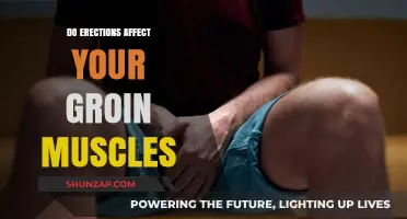 Understanding the Connection: Erections and Groin Muscle Impact