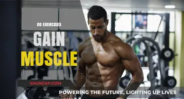 Effective Workouts: Can Exercises Truly Build and Strengthen Muscles?