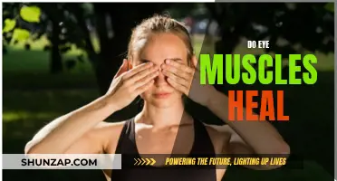 Eye Muscle Recovery: Do They Heal?