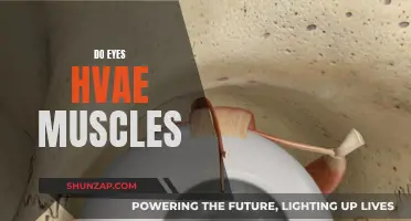 Eyes and Muscles: What's the Connection?