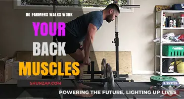 Farmers Walks: Effective Back Muscle Workout or Overrated Exercise?