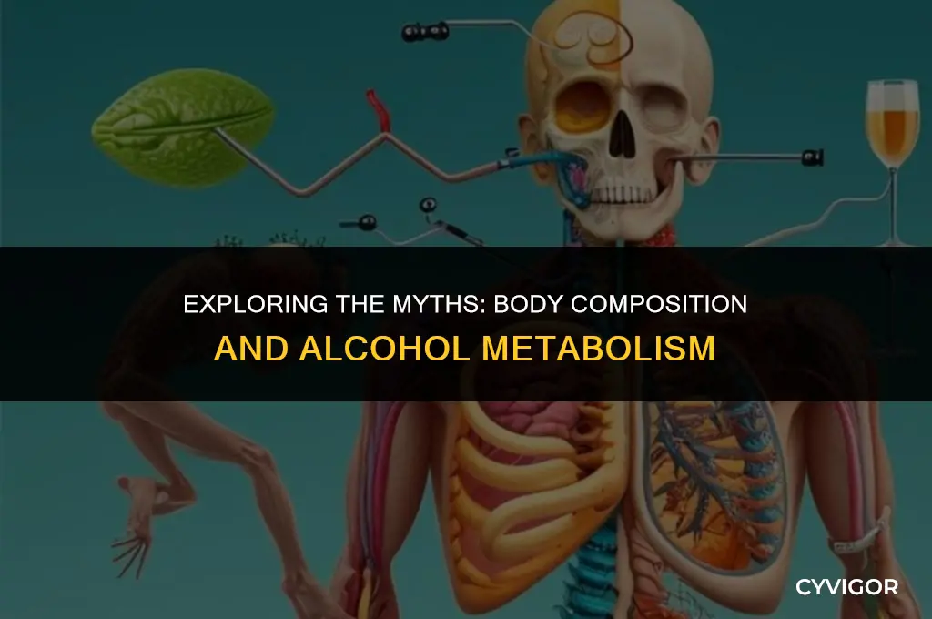 do fat people get drunk faster than muscle