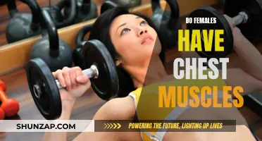 Exploring Female Anatomy: Do Women Have Chest Muscles?