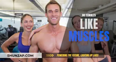 Muscle Attraction: Do Females Fancy a Brawny Physique?