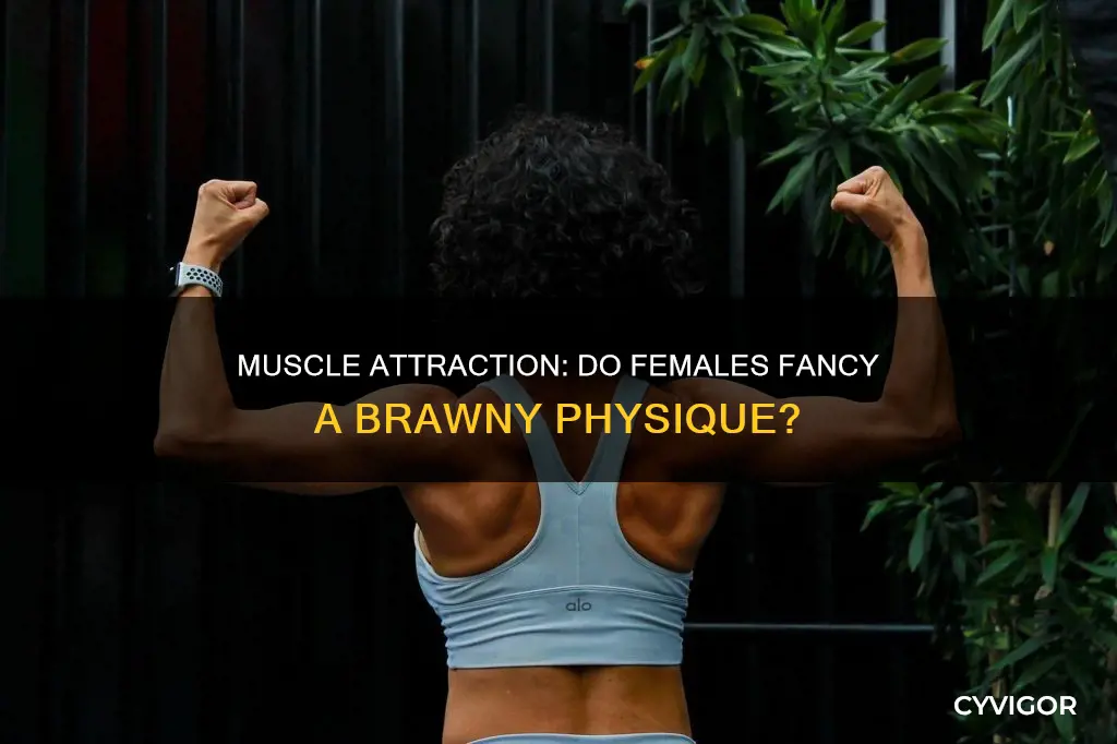 do females like muscles