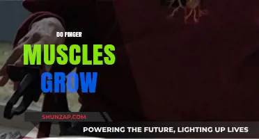 Can Finger Muscles Grow? Unlocking Hand Strength and Dexterity Secrets