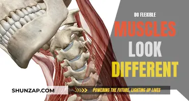How Flexibility Affects Muscle Appearance