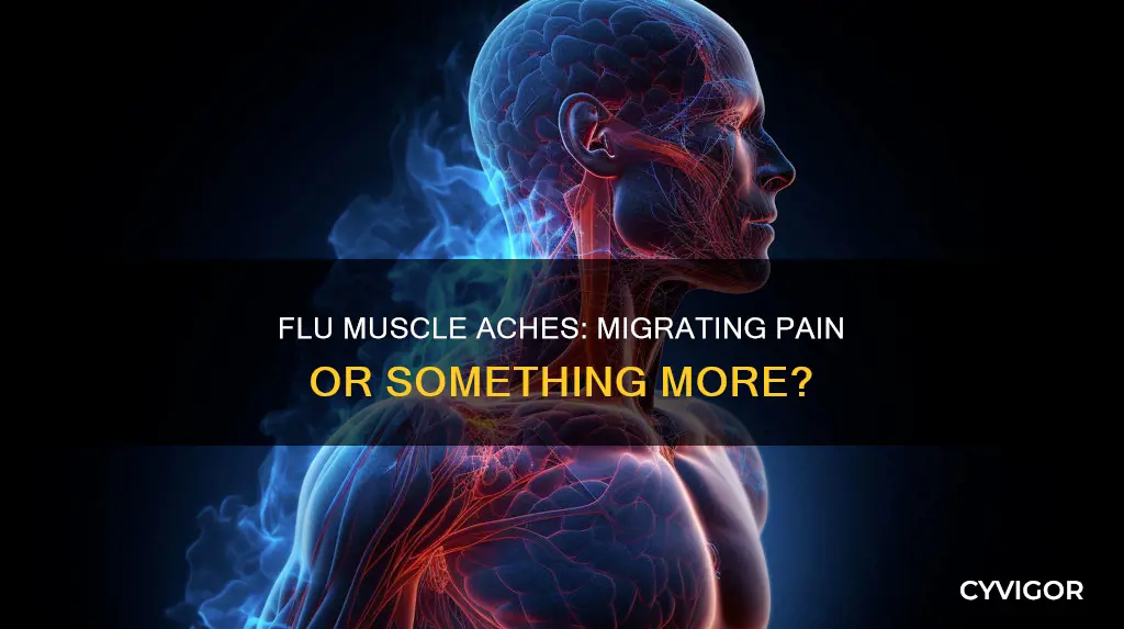 do flu muscle aches move