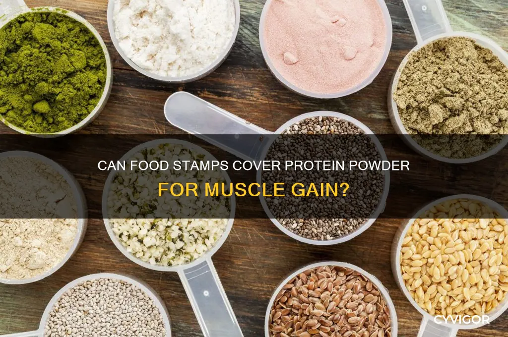 do food stamps pay for protein muscle gain powder