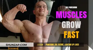 How Fast Do Forearm Muscles Grow? Training Tips and Results
