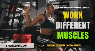 Forward vs. Reverse Lunges: Targeting Different Muscles for Optimal Results