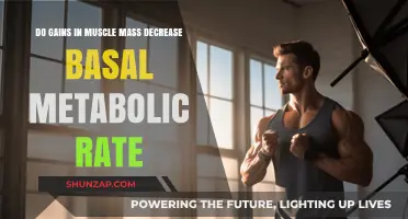 Muscle Mass Gains: Impact on Basal Metabolic Rate Explained