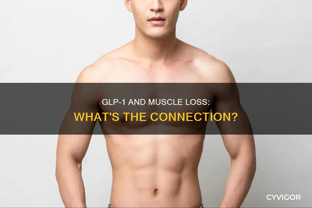 do glp 1 cause muscle loss