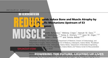 Glucocorticoid Intake: Muscle Loss or Gain?