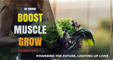 Can Greens Enhance Muscle Growth? Unlocking the Power of Plant-Based Nutrition