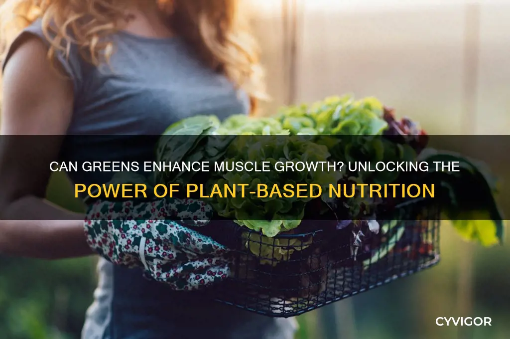 do greens boost muscle grow
