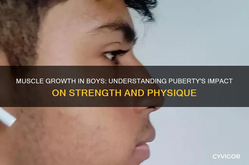 do guys gain muscle during puberty