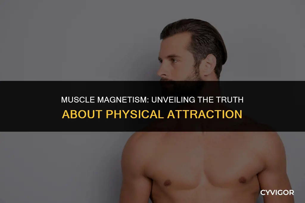 do guys get attracted to muscle