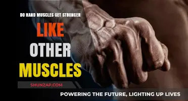 Empowering Your Grip: The Science of Strengthening Hand Muscles