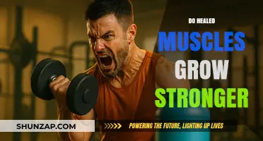 Healed Muscles: Unlocking Strength Through Recovery and Growth