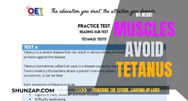 Heart Muscles and Tetanus: What's the Connection?